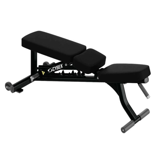 Cybex Ion Series Adjustable Bench